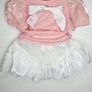 GIRL ORGANZA OUTFIT
